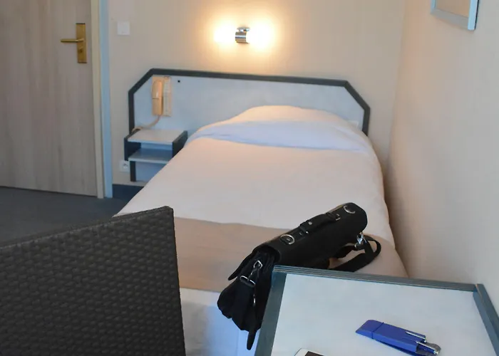 Logis Restaurant De France Hotel Saint-Geniez-dʼOlt