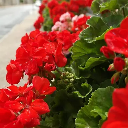 Logis Restaurant De France Hotel