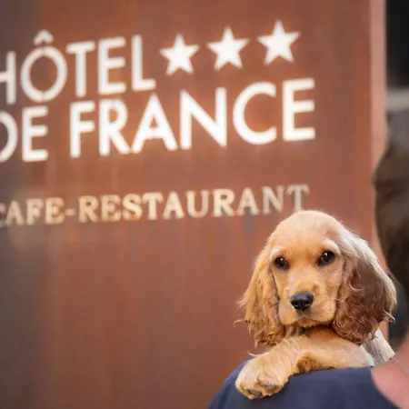 Logis Hotel Restaurant De France 3*