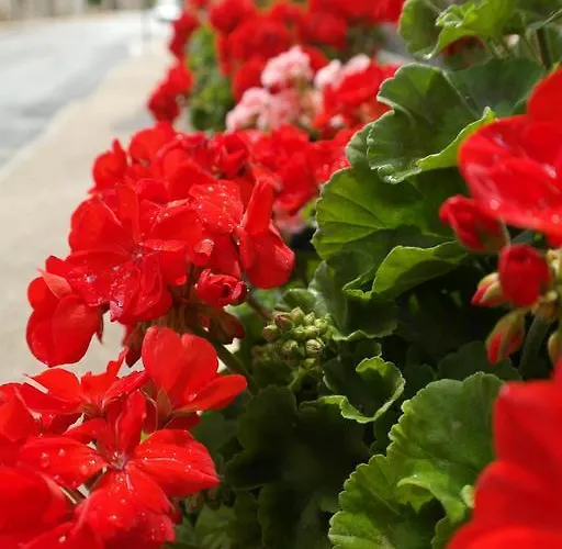 Logis Restaurant De France Hotel