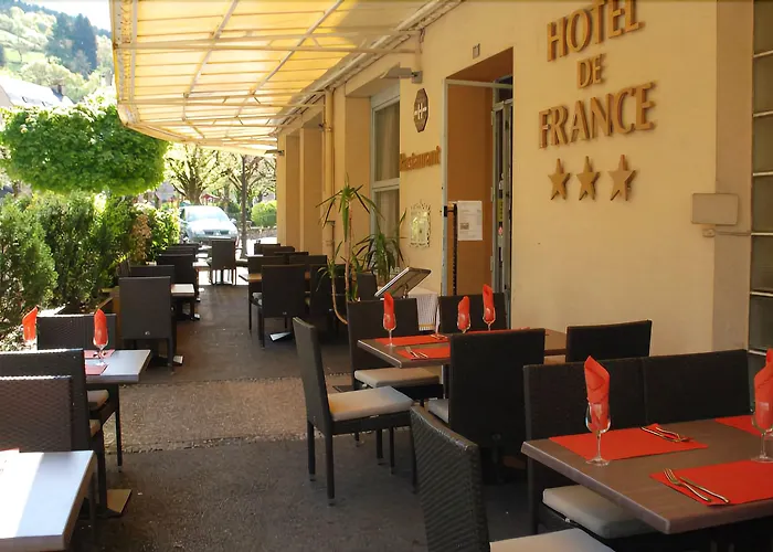 Logis Restaurant De France 3*