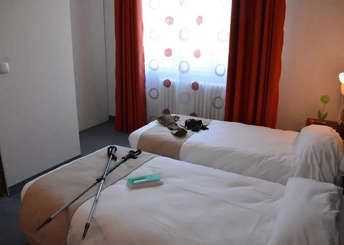 Logis Restaurant De France